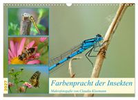 Farbenpracht der Insekten (Wandkalender 2027 DIN A3 quer), CALVENDO Monatskalender