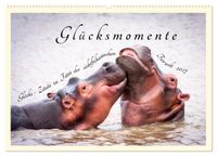 Glücksmomente Glücks-Zitate zu Fotos der großartigen südafrikanischen Tierwelt (Wandkalender 2027 DIN A2 quer), CALVENDO Monatskalender