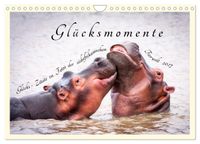 Glücksmomente Glücks-Zitate zu Fotos der großartigen südafrikanischen Tierwelt (Wandkalender 2027 DIN A4 quer), CALVENDO Monatskalender