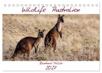 Wildlife Australien (Tischkalender 2027 DIN A5 quer), CALVENDO Monatskalender