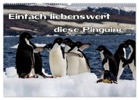 Einfach liebenswert diese Pinguine (Wandkalender 2027 DIN A2 quer), CALVENDO Monatskalender