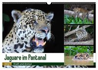 Jaguare im Pantanal (Wandkalender 2027 DIN A3 quer), CALVENDO Monatskalender
