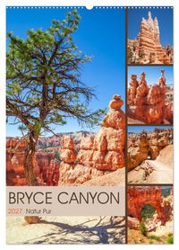 BRYCE CANYON Natur Pur (Wandkalender 2027 DIN A2 hoch), CALVENDO Monatskalender