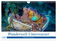Wunderwelt Unterwasser (Wandkalender 2027 DIN A4 quer), CALVENDO Monatskalender