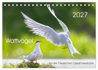 Wattvögel an der Friesischen IJsselmeerküste (Tischkalender 2027 DIN A5 quer), CALVENDO Monatskalender