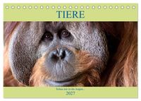 Tiere Schau mir in die Augen (Tischkalender 2027 DIN A5 quer), CALVENDO Monatskalender