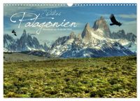 Wildes Patagonien - Abenteuer am Ende der Welt (Wandkalender 2027 DIN A3 quer), CALVENDO Monatskalender