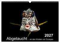 Abgetaucht - an den Küsten vor Curaçao (Wandkalender 2027 DIN A3 quer), CALVENDO Monatskalender