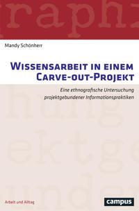 Wissensarbeit in einem Carve-out-Projekt