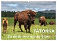 TATONKA Der nordamerikanische Bison (Wandkalender 2027 DIN A2 quer), CALVENDO Monatskalender