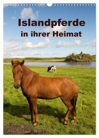 Islandpferde in ihrer Heimat (Wandkalender 2027 DIN A3 hoch), CALVENDO Monatskalender