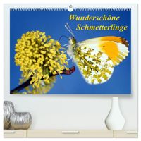 Wunderschöne Schmetterlinge (hochwertiger Premium Wandkalender 2027 DIN A2 quer), Kunstdruck in Hochglanz