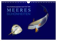 Meeres Schönheiten (Wandkalender 2027 DIN A4 quer), CALVENDO Monatskalender