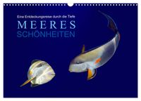 Meeres Schönheiten (Wandkalender 2027 DIN A3 quer), CALVENDO Monatskalender