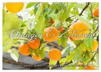 Emotionale Momente: Orangen & Zitronen. (Wandkalender 2027 DIN A3 quer), CALVENDO Monatskalender