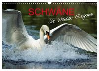 SCHWÄNE. (Wandkalender 2027 DIN A3 quer), CALVENDO Monatskalender