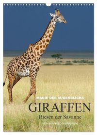 Magie des Augenblicks - Giraffen - Riesen der Savanne (Wandkalender 2027 DIN A3 hoch), CALVENDO Monatskalender