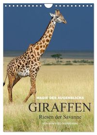 Magie des Augenblicks - Giraffen - Riesen der Savanne (Wandkalender 2027 DIN A4 hoch), CALVENDO Monatskalender