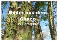 Bilder aus dem Chaco in Paraguay (Wandkalender 2027 DIN A3 quer), CALVENDO Monatskalender