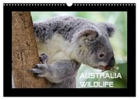 Australia Wildlife (Wandkalender 2027 DIN A3 quer), CALVENDO Monatskalender
