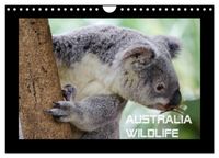 Australia Wildlife (Wandkalender 2027 DIN A4 quer), CALVENDO Monatskalender