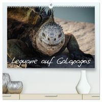 Leguane auf Galapagos (hochwertiger Premium Wandkalender 2027 DIN A2 quer), Kunstdruck in Hochglanz