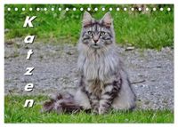 Katzen auf der Welt (Tischkalender 2027 DIN A5 quer), CALVENDO Monatskalender