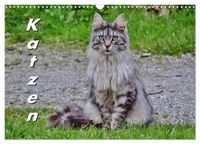 Katzen auf der Welt (Wandkalender 2027 DIN A3 quer), CALVENDO Monatskalender