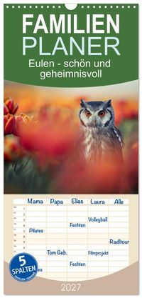 Familienplaner 2027 - Eulen - schön und geheimnisvoll mit 5 Spalten (Wandkalender, 21 x 45 cm) CALVENDO