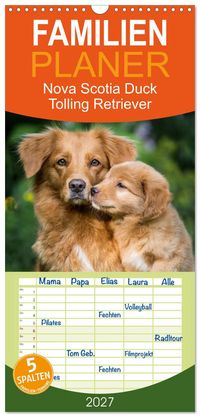 Familienplaner 2027 - Toller - Nova Scotia Duck Tolling Retriever mit 5 Spalten (Wandkalender, 21 x 45 cm) CALVENDO