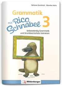 Grammatik mit Rico Schnabel, Klasse 3