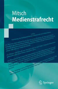 Medienstrafrecht