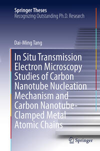 In Situ Transmission Electron Microscopy Studies of Carbon Nanotube Nucleation Mechanism and Carbon Nanotube-Clamped Metal Atomic Chains