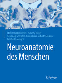 Neuroanatomie des Menschen