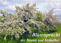 Blütezeit der Bäume und Sträucher (Tischkalender 2023 DIN A5 quer)