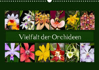 Vielfalt der Orchideen (Wandkalender 2023 DIN A3 quer)