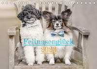 Fellnasenglück (Tischkalender immerwährend DIN A5 quer)