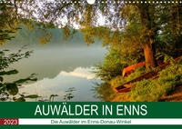 Auwälder bei EnnsAT-Version (Wandkalender 2023 DIN A3 quer)