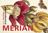 Postkarten-Set Maria Sibylla Merian