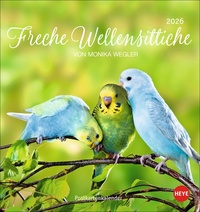 Freche Wellensittiche Postkartenkalender 2026