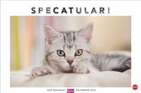 Whiskas Katzenkalender 2027