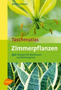 Zimmerpflanzen