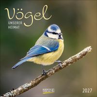 Vögel 2027