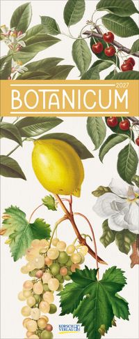 Botanicum 2027