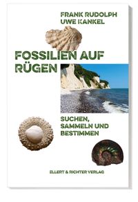 Fossilien auf Rügen