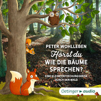 Hörst du, wie die Bäume sprechen? Eine kleine Entdeckungsreise durch den Wald