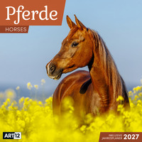 Pferde Kalender 2027 - 30x30 - Art12