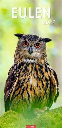 Eulen Kalender 2027