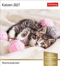 Katzen Postkartenkalender 2027 - Wochenkalender mit 53 Postkarten