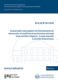 Sustainable valorization via thermochemical conversion of sundried straw-biomass sourced from northern Nigeria – A step towards a circular bioeconomy